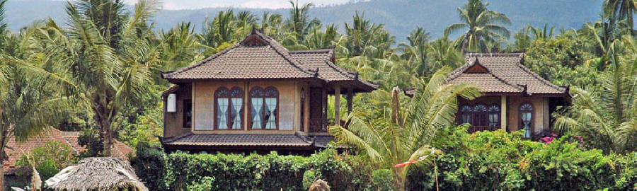 The two Rumah Cantik villas amid palms beside the rice fields